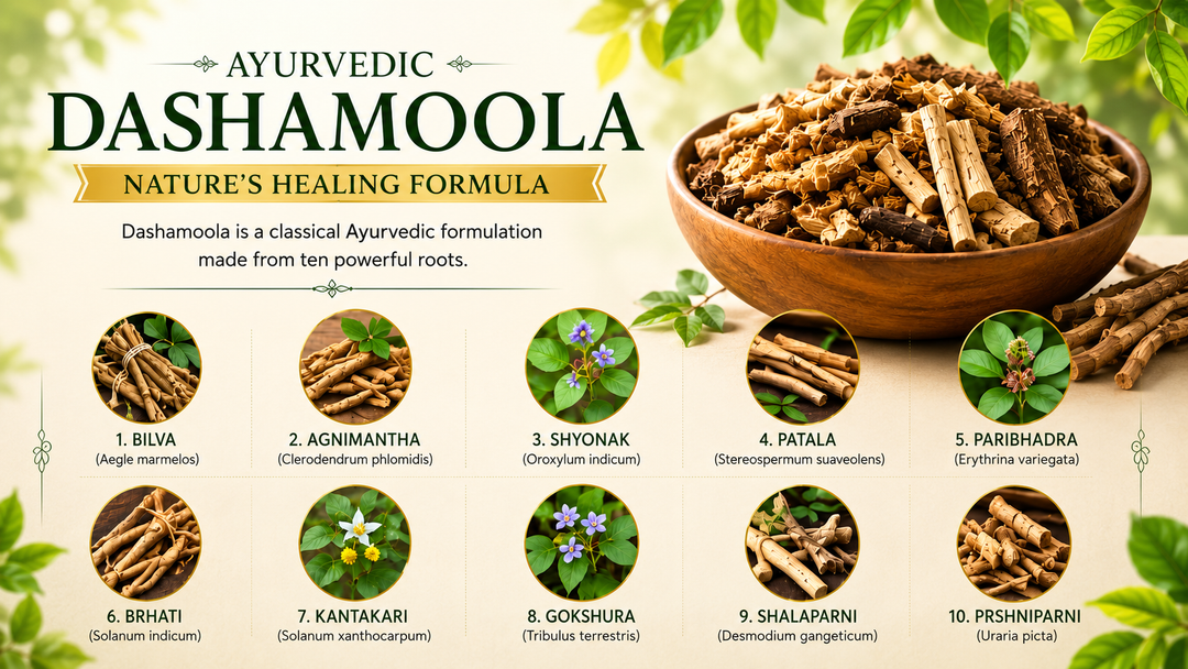 Dashamoola: Ayurvedic Support for Joint Comfort & Mobility