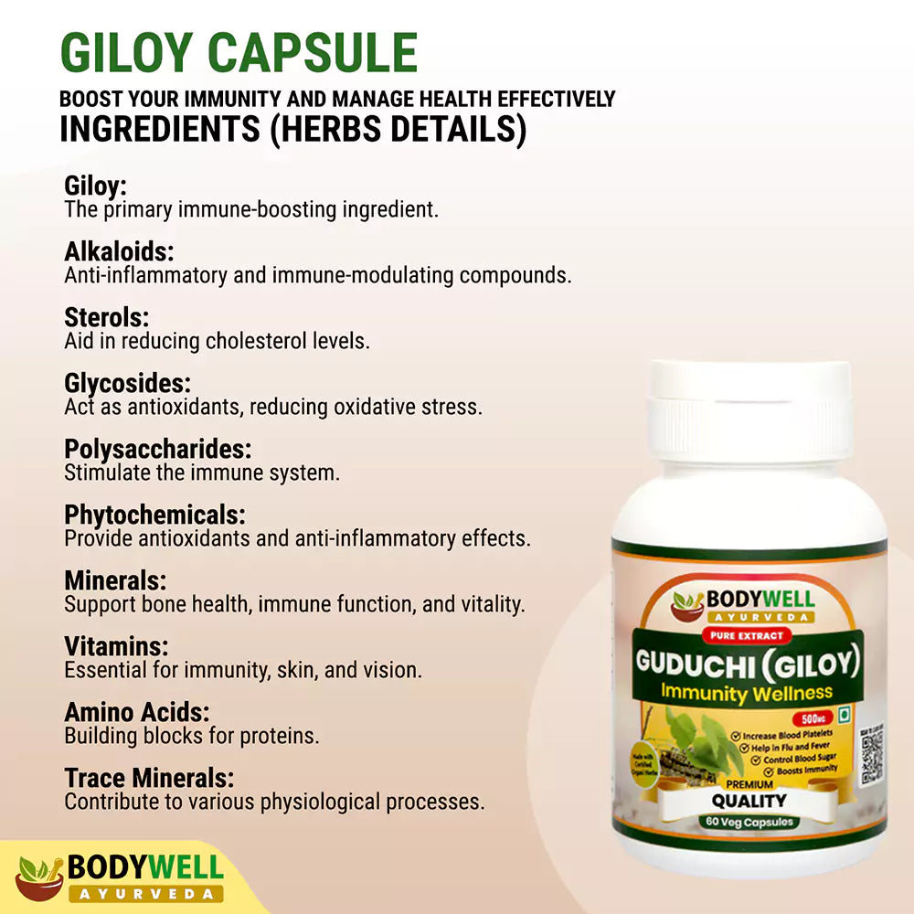 Giloy Capsules Ingredients List and Details