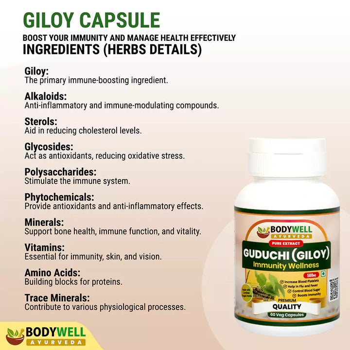 Giloy Capsules Ingredients List and Details