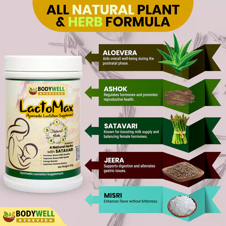 LactoMax Powder Ingredients List and Details
