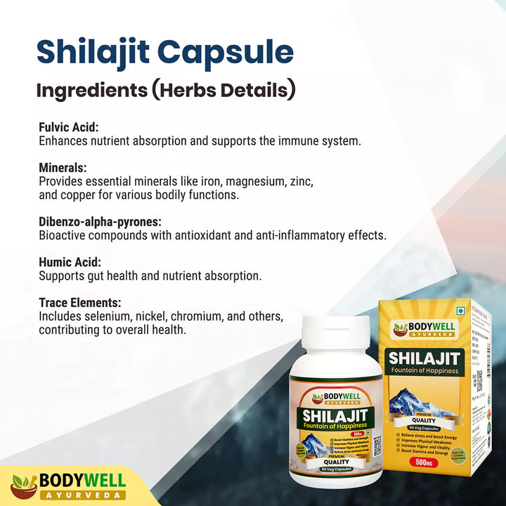 Shilajit Capsule Ingredients List and Details