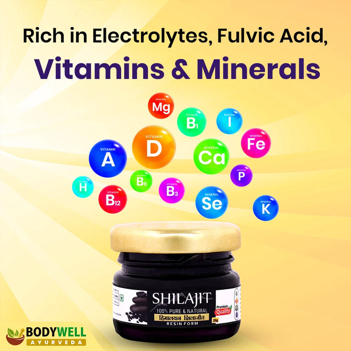 Vitamins and Minerals in Shilajit Capsule
